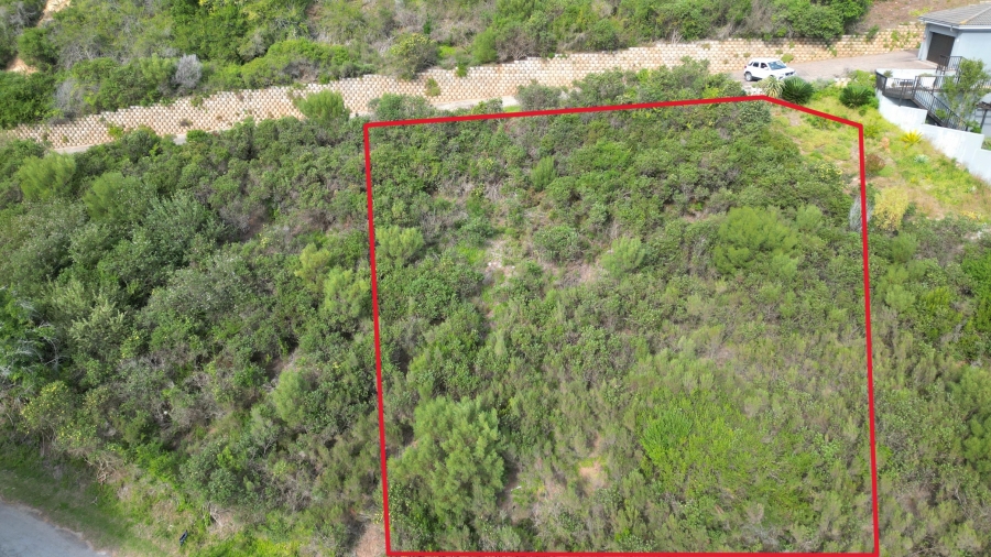 0 Bedroom Property for Sale in Brenton On Lake Western Cape